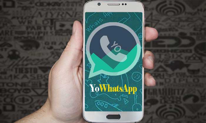 YoWhatsApp Apk