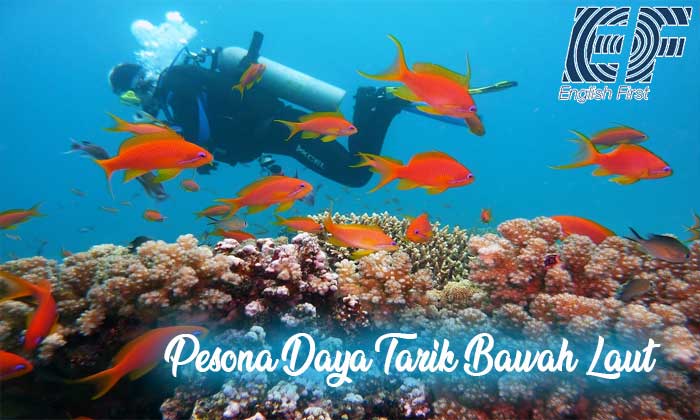 pesona daya tarik bawah laut