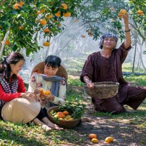 bisnis perkebunan buah