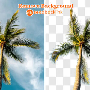 tool remove background seedbacklink