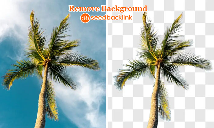 tool remove background seedbacklink